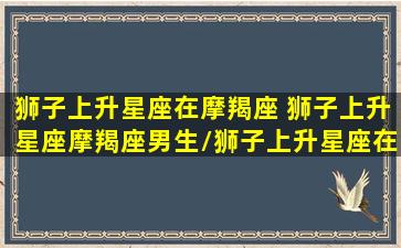 狮子上升星座在摩羯座 狮子上升星座摩羯座男生/狮子上升星座在摩羯座 狮子上升星座摩羯座男生-我的网站